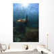 Sea Lion Chasing School Wall Decal