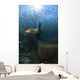 Sea Lion Chasing School Wall Decal