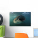 Feeding Whale Shark La Wall Decal
