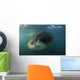Feeding Whale Shark La Wall Decal