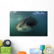 Feeding Whale Shark La Wall Decal