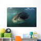 Feeding Whale Shark La Wall Decal