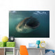 Feeding Whale Shark La Wall Decal