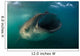 Feeding Whale Shark La Wall Decal