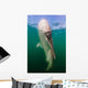 Whale Shark La Paz Wall Decal