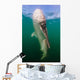 Whale Shark La Paz Wall Decal