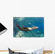 Sea Lion Blowing Bubbles Wall Decal