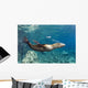 Sea Lion Blowing Bubbles Wall Decal