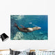 Sea Lion Blowing Bubbles Wall Decal
