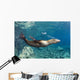 Sea Lion Blowing Bubbles Wall Decal