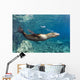 Sea Lion Blowing Bubbles Wall Decal