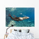 Sea Lion Blowing Bubbles Wall Decal