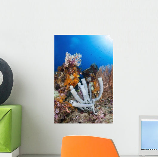 Tube Sponge Coral Reef Wall Decal