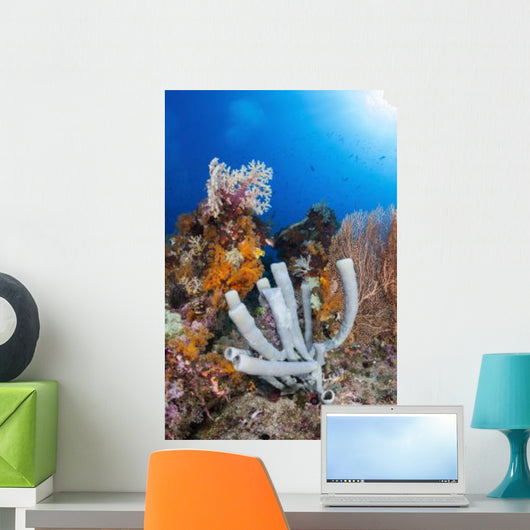 Tube Sponge Coral Reef Wall Decal