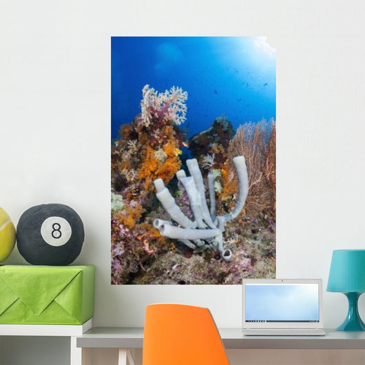 Tube Sponge Coral Reef Wall Decal