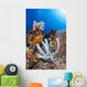 Tube Sponge Coral Reef Wall Decal