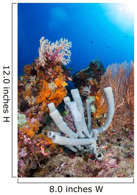 Tube Sponge Coral Reef Wall Decal