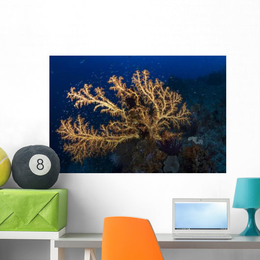 Yellow Sea Fan Raja Wall Decal Design 3