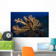 Yellow Sea Fan Raja Wall Decal Design 3