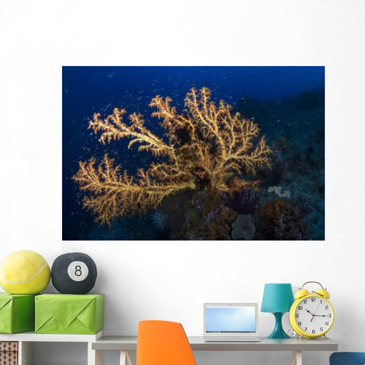 Yellow Sea Fan Raja Wall Decal Design 3