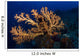 Yellow Sea Fan Raja Wall Decal Design 3