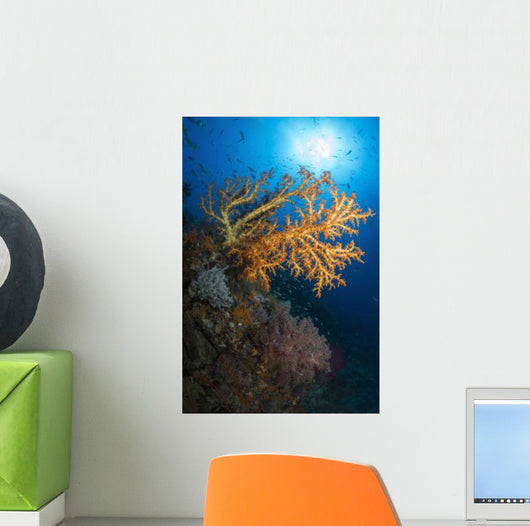 Yellow Sea Fan Raja Wall Decal Design 2