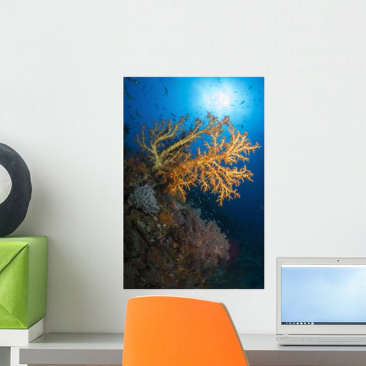 Yellow Sea Fan Raja Wall Decal Design 2