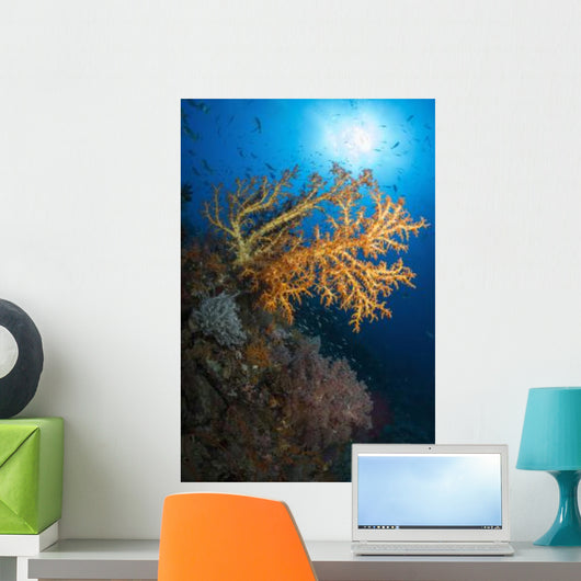 Yellow Sea Fan Raja Wall Decal Design 2