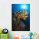Yellow Sea Fan Raja Wall Decal Design 2