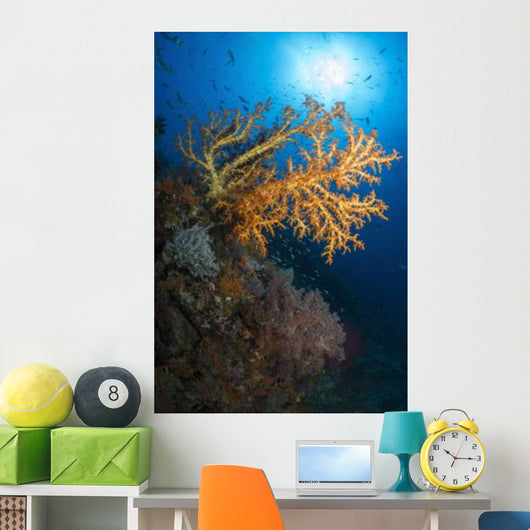 Yellow Sea Fan Raja Wall Decal Design 2