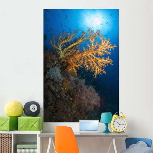 Yellow Sea Fan Raja Wall Decal Design 2