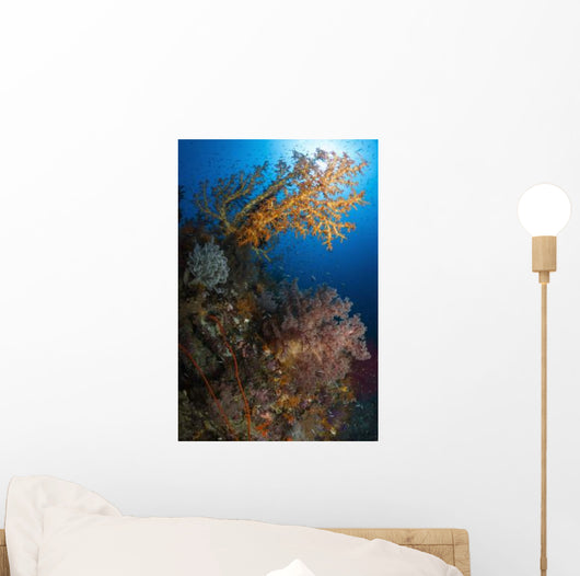 Yellow Sea Fan Raja Wall Decal Design 1