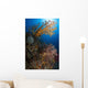 Yellow Sea Fan Raja Wall Decal Design 1