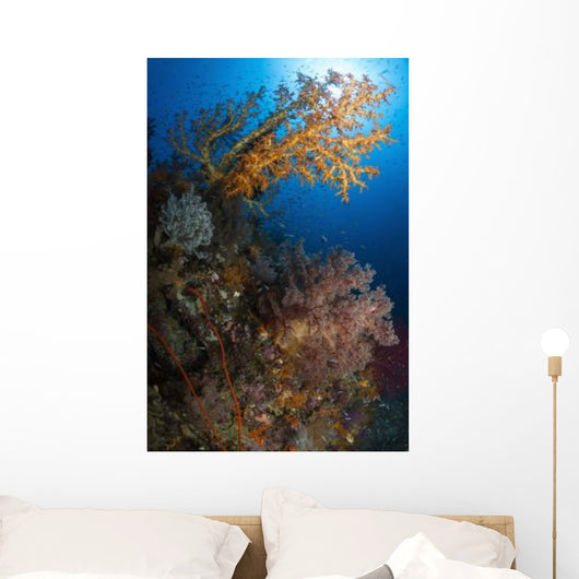 Yellow Sea Fan Raja Wall Decal Design 1