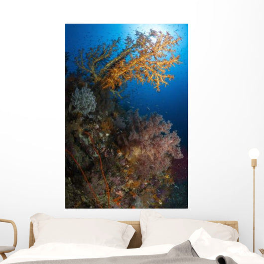 Yellow Sea Fan Raja Wall Decal Design 1