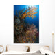 Yellow Sea Fan Raja Wall Decal Design 1