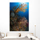 Yellow Sea Fan Raja Wall Decal Design 1