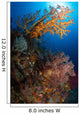 Yellow Sea Fan Raja Wall Decal Design 1
