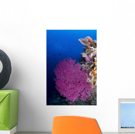 Purple Sea Fan Raja Wall Decal