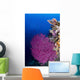 Purple Sea Fan Raja Wall Decal