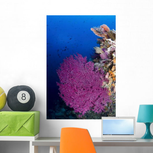 Purple Sea Fan Raja Wall Decal