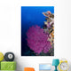 Purple Sea Fan Raja Wall Decal