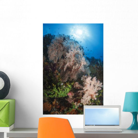 Sea Fan Soft Coral Wall Decal Design 2