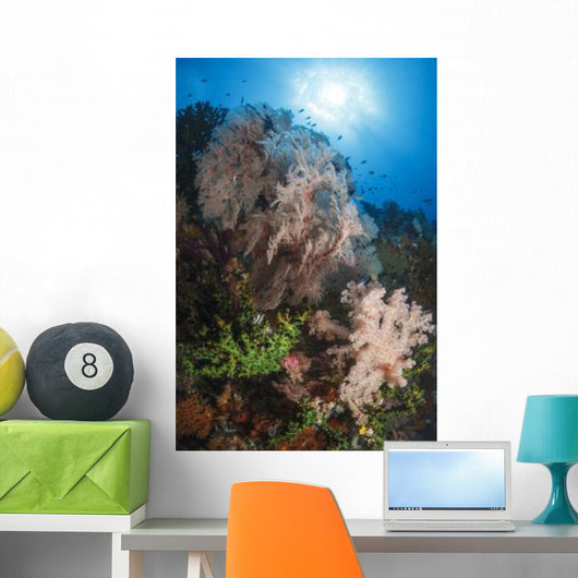 Sea Fan Soft Coral Wall Decal Design 2