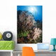 Sea Fan Soft Coral Wall Decal Design 2