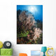Sea Fan Soft Coral Wall Decal Design 2