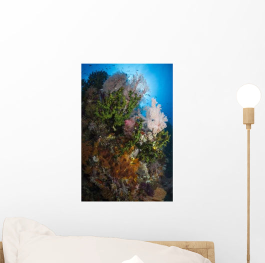 Sea Fan Soft Coral Wall Decal Design 1