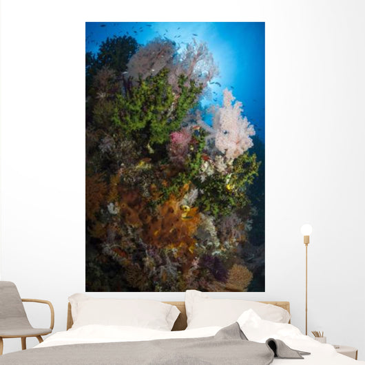 Sea Fan Soft Coral Wall Decal Design 1