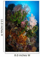 Sea Fan Soft Coral Wall Decal Design 1