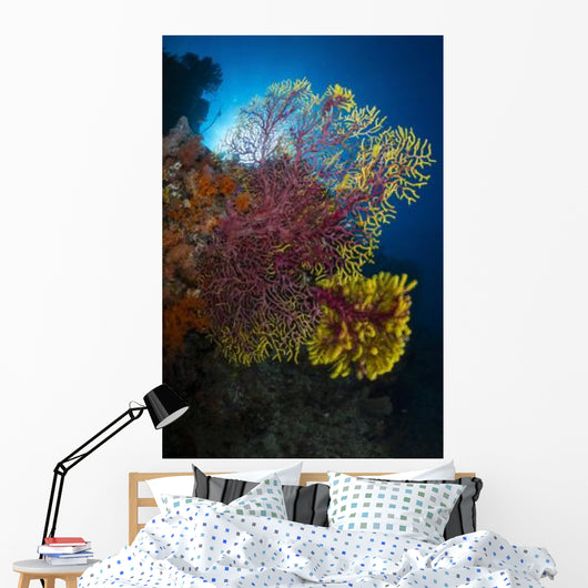 Purple and Yellow Sea Wall Decal